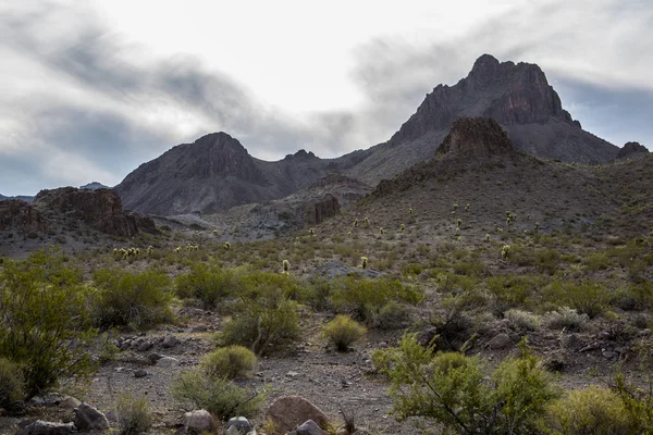 Paisaje del desierto Arizona —  Fotos de Stock