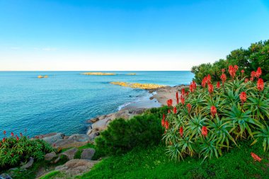 Bağlantı noktası Elliot beach, Avustralya