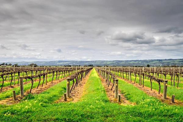 McLaren Vale wineries — Stock Photo, Image