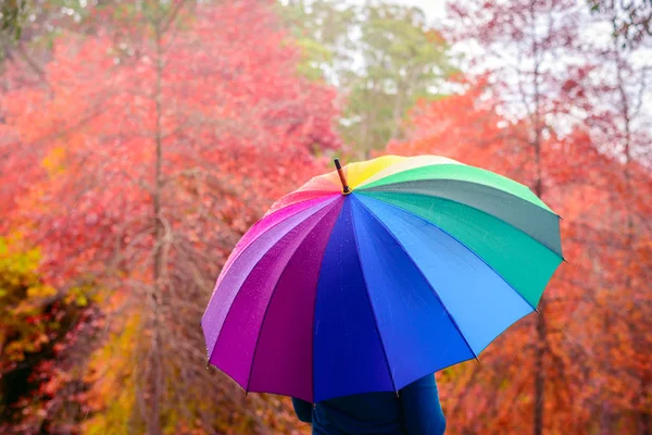 Kobieta stojąc pod kolorowym parasolem — Zdjęcie stockowe
