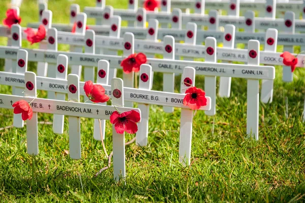 Traditionele Remembrance Day ceremonie — Stockfoto