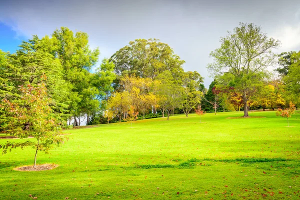 Autumn park with colourful trees — Stock Photo, Image