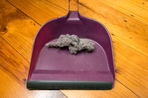 Dustpan com bola de poeira — Fotografia de Stock
