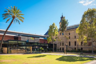 Güney Avustralya Müzesi