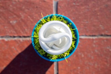 Enerji tasarrufu ampulü