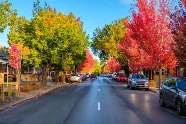 Main street, sonbaharda Hahndorf