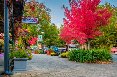 Main street, sonbaharda Hahndorf