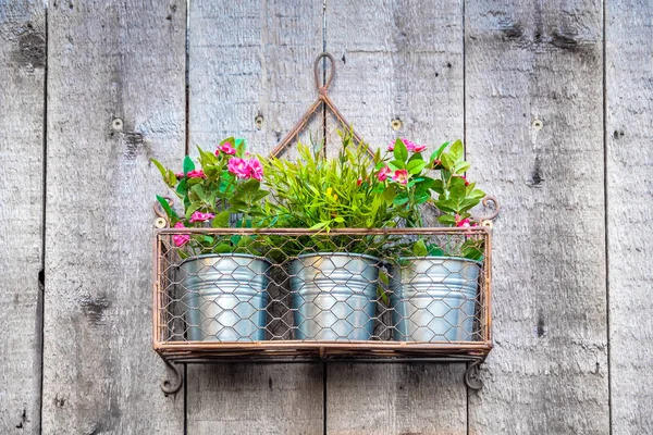 Flowers hanging in metallic pots — Stock Photo, Image