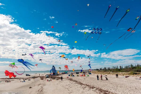 Festival Internacional de Kite de Adelaide — Fotografia de Stock