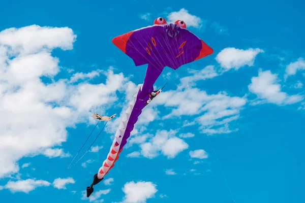 Adelaide internationale Kite Festival — Stockfoto