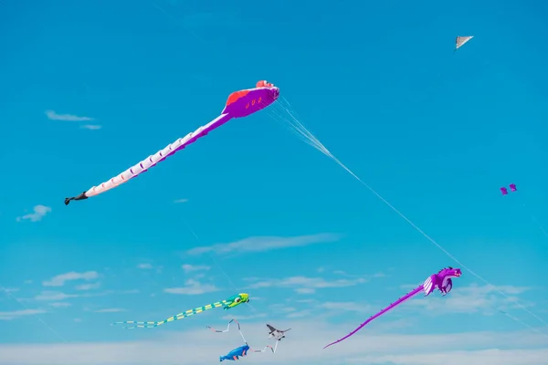 Adelaide internationale Kite Festival — Stockfoto