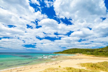 Great Ocean Road, Lorne Queenscliff kıyı rezerv, Victoria, A