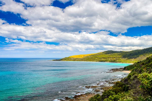 Великий океан дорожньо краєвид, Вікторія, Австралія — стокове фото