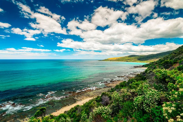 Великий океан дорожньо краєвид, Вікторія, Австралія — стокове фото
