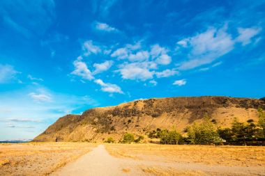 Hızlı bay, Avustralya