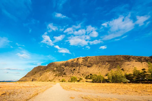 Hızlı bay, Avustralya