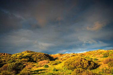 Hallett Cove en az yatay, Güney Avustralya