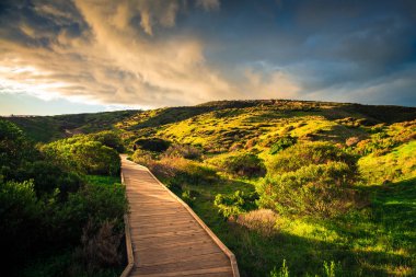Hallett Cove park, Avustralya