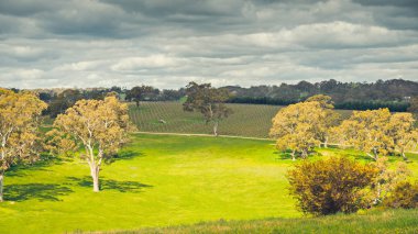 Adelaide hills peyzaj