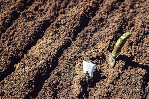 Preparación de suelo para la siembra de semillas — Foto de stock