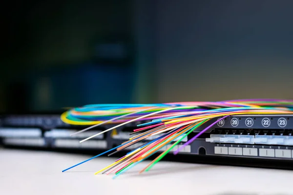 Fibre optic cables on patch distribution panel — Stock Photo, Image