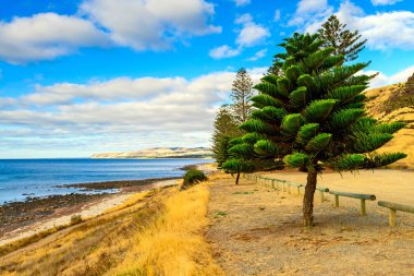 Normanville Beach suların çekildiği kıyı doğal günbatımı manzara 