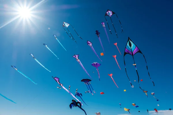 Adelaide internationale Kite Festival — Stockfoto