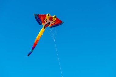 Adelaide Uluslararası Uçurtma Festivali Semaphore 'da