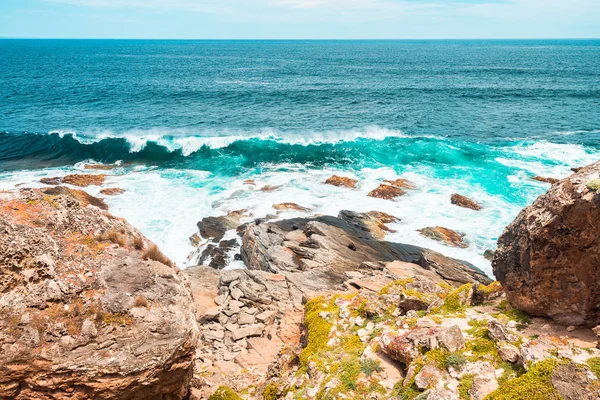 Kangaroo Island coastal view with Fur Seals — Stock Photo, Image