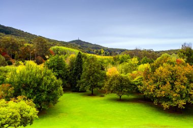 Sonbahar mevsiminde Lofty Dağı botanik bahçesi, Crafers, Güney Avustralya
