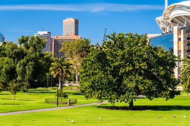 Adelaide, Avustralya - 23 Şubat 2020: Adelaide şehrinin ufuk çizgisi Pennington Gardens üzerinden bir gün boyunca izlendi