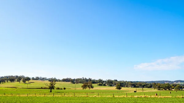 南オーストラリア州の明るい日にアデレードヒルズの農地 — ストック写真