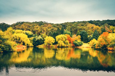 Göl kenarındaki Lofty Dağı botanik bahçesi manzaralı, Adelaide Hills, Güney Avustralya