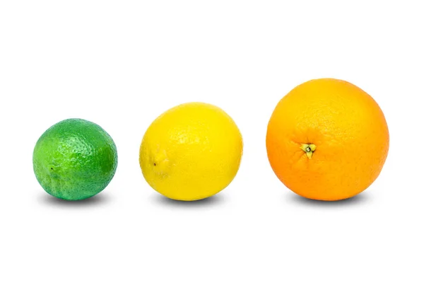 Verse Sinaasappel Citroen Limoen Citrusvruchten Geïsoleerd Witte Onderkant — Stockfoto