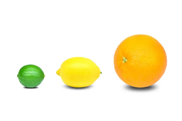 Fehér Háton Izolált Friss Narancs Citrom Mész Citrusfélék — Stock Fotó