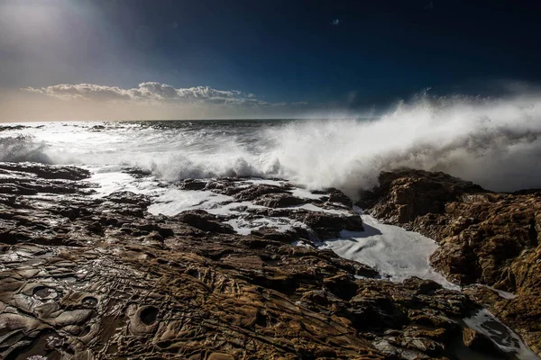 Deniz Dalga Livorno Toskana Talya — Stok fotoğraf