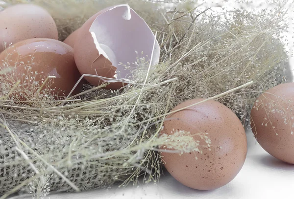 Eieren en de "eggshell" — Stockfoto