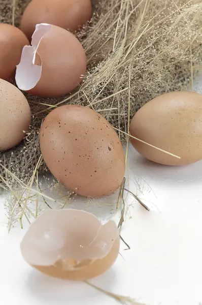 Eieren en de "eggshell" — Stockfoto