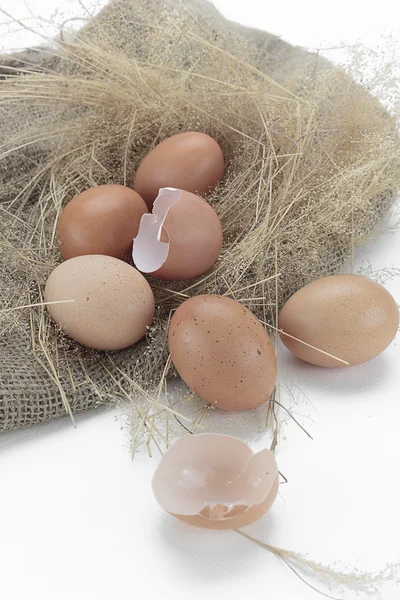 Eieren en de "eggshell" — Stockfoto