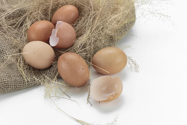 Eieren en de "eggshell" — Stockfoto