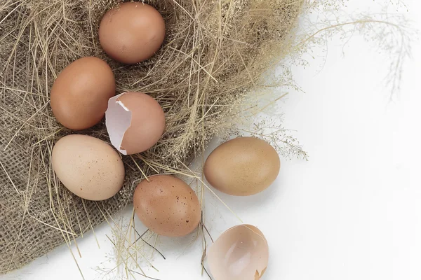 Eieren en de "eggshell" — Stockfoto