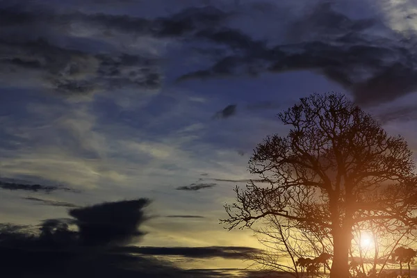 Bewölkter Himmel und Sonnenuntergang — Stockfoto