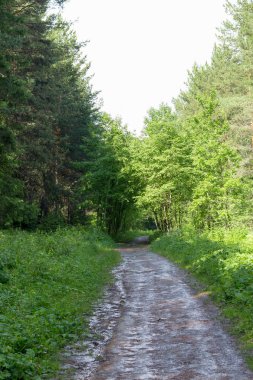 dağınık kırsal toprak yol yağmur sonra
