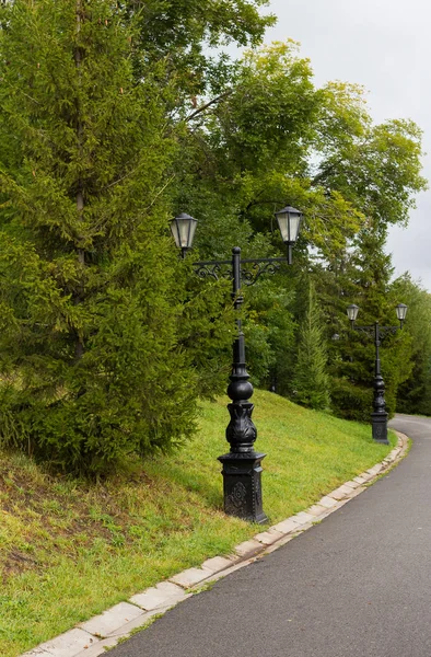 Ferforje bukleler uzun tarih ile iki lamba ile eski tarzda sokak lambası siyah sokak lâmbası direği ve avize vücut bacak, plafonds bardak hafif
