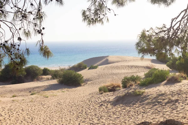 Białe wydmy na plaży Patara. Antalya. Turcja — Zdjęcie stockowe