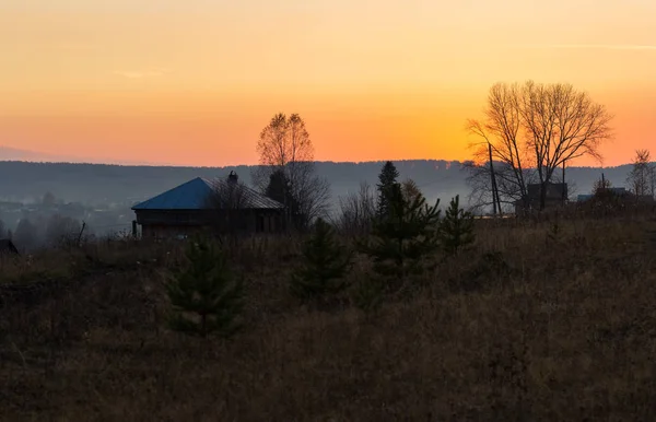 Albero senza foglie in un campo al tramonto — Foto Stock