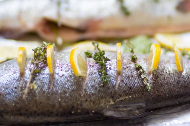 İki nehir balık alabalık tepsi pişirme üzerinde limon dilimleri ve yeşil kekik fışkın ile doldurulmuş. Sığ derinlik-in tarla