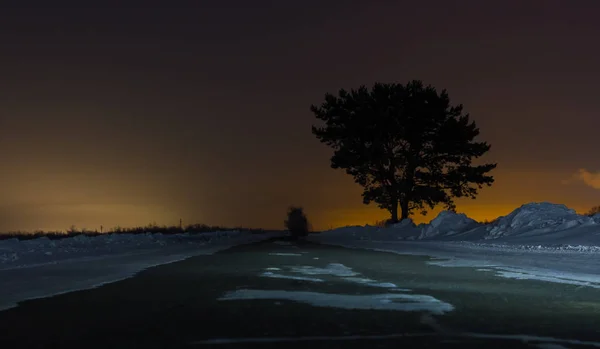 Eenzame boom op de weg op een winters nacht op de achtergrond van de stadslichten — Stockfoto