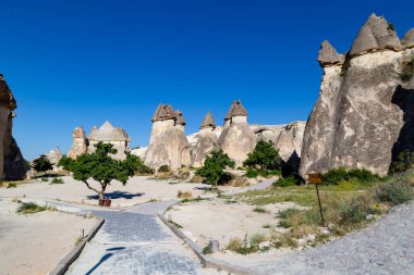 Cappadocia 'daki Cavusin köyünün yakınındaki kanyonda kumtaşının sihirli mantarımsı formları.