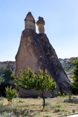 Cappadocia 'daki Cavusin köyünün yakınındaki kanyonda kumtaşının sihirli mantarımsı formları.